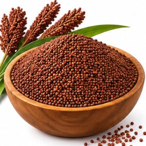 Finger Millet