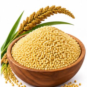 Foxtail Millet