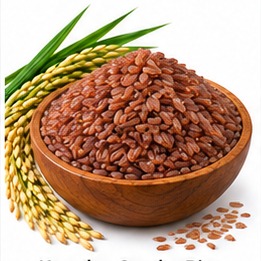 Karudan Samba Rice