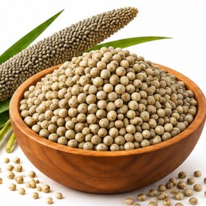 Pearl Millet